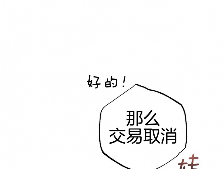 《 夏菲菲的兔子》漫画最新章节第27话免费下拉式在线观看章节第【11】张图片