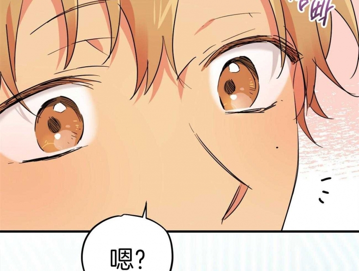 《 夏菲菲的兔子》漫画最新章节第32话免费下拉式在线观看章节第【9】张图片