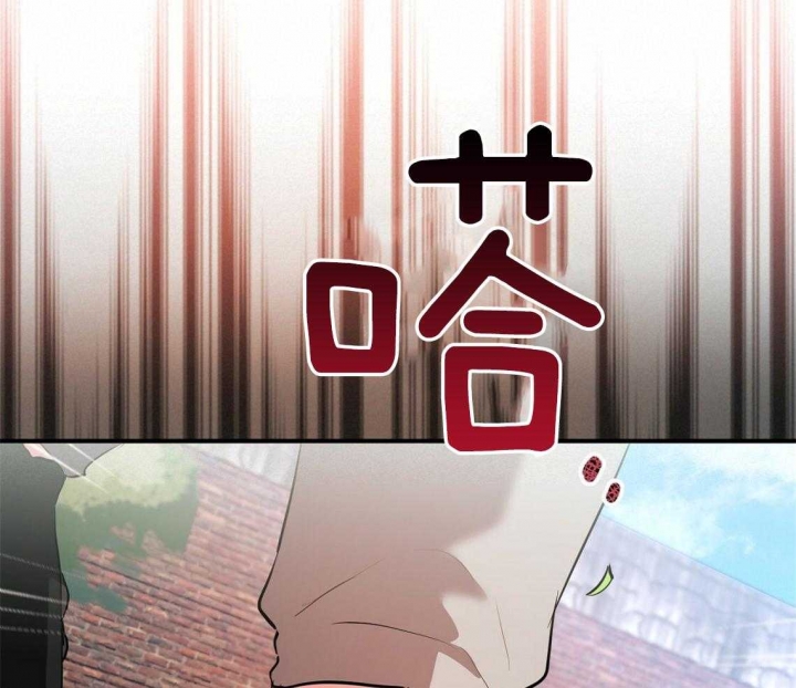 《 夏菲菲的兔子》漫画最新章节第65话免费下拉式在线观看章节第【33】张图片