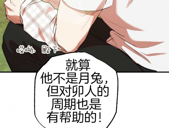 《 夏菲菲的兔子》漫画最新章节第28话免费下拉式在线观看章节第【48】张图片