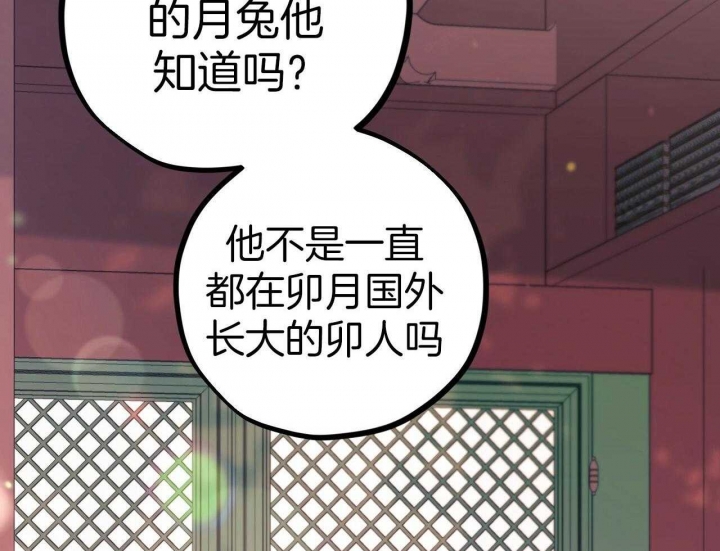 《 夏菲菲的兔子》漫画最新章节第61话免费下拉式在线观看章节第【26】张图片