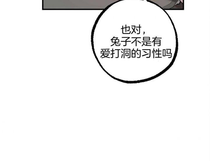 《 夏菲菲的兔子》漫画最新章节第74话免费下拉式在线观看章节第【50】张图片