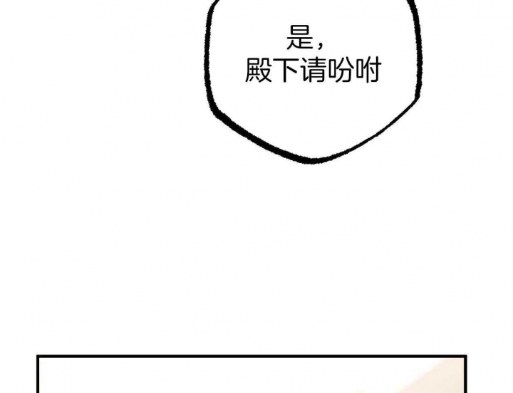 《 夏菲菲的兔子》漫画最新章节第62话免费下拉式在线观看章节第【31】张图片