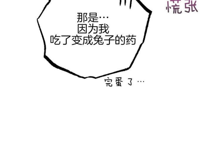 《 夏菲菲的兔子》漫画最新章节第18话免费下拉式在线观看章节第【29】张图片