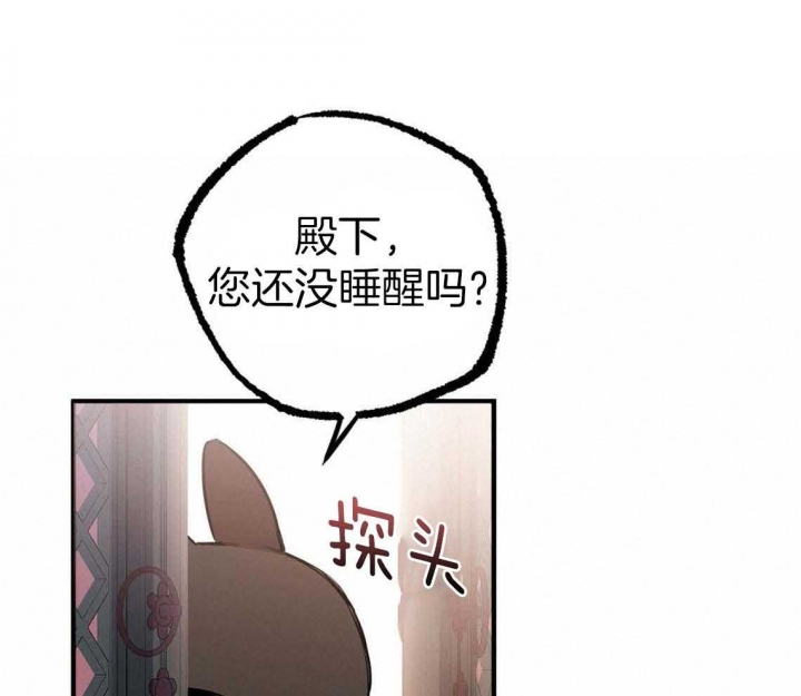 《 夏菲菲的兔子》漫画最新章节第64话免费下拉式在线观看章节第【25】张图片