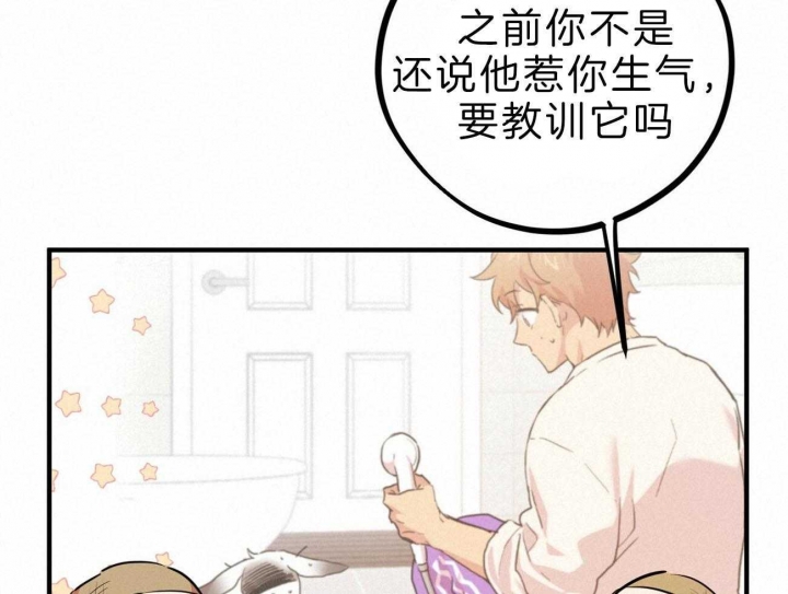 《 夏菲菲的兔子》漫画最新章节第81话免费下拉式在线观看章节第【5】张图片