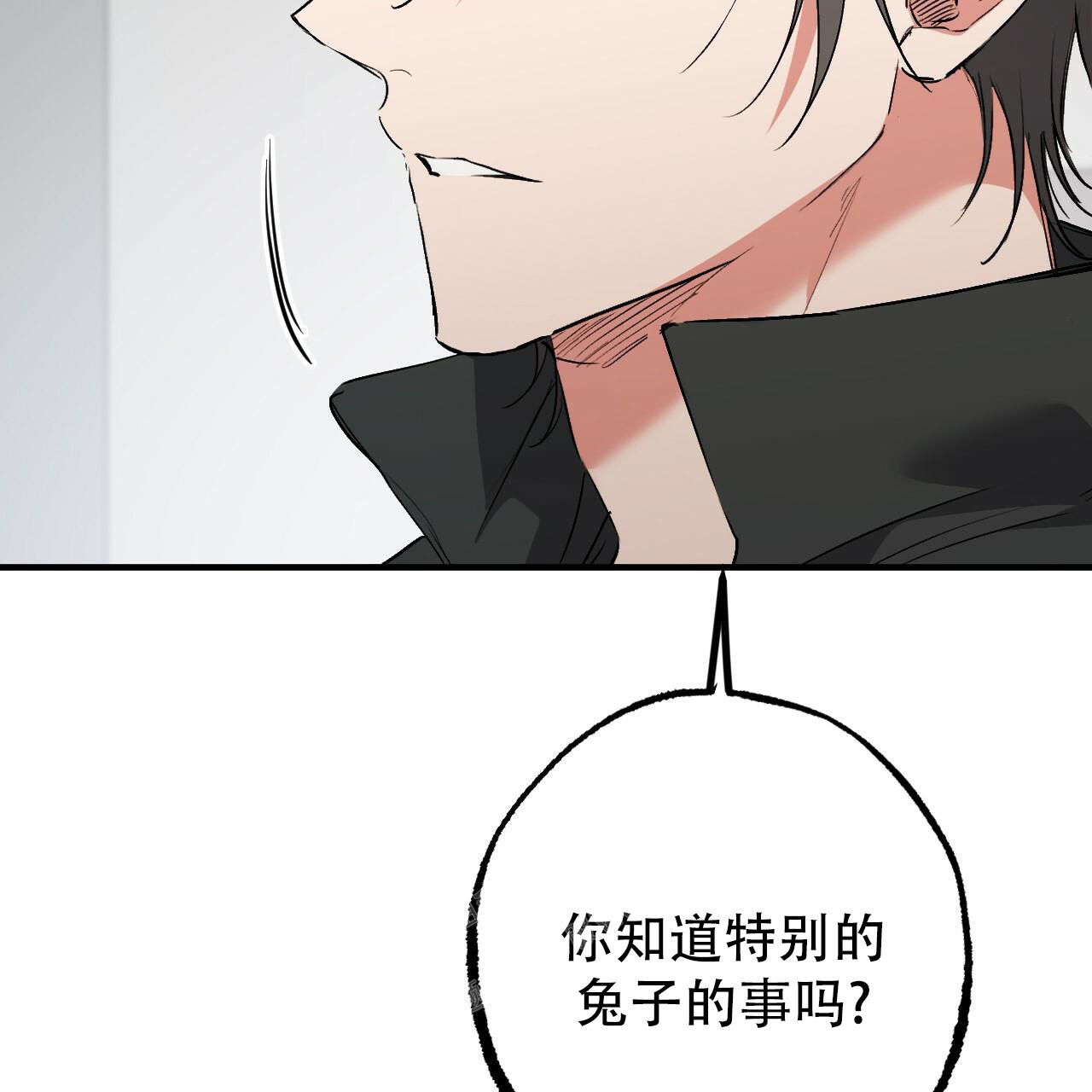 《 夏菲菲的兔子》漫画最新章节第112话免费下拉式在线观看章节第【62】张图片