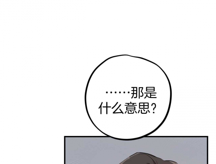 《 夏菲菲的兔子》漫画最新章节第61话免费下拉式在线观看章节第【70】张图片