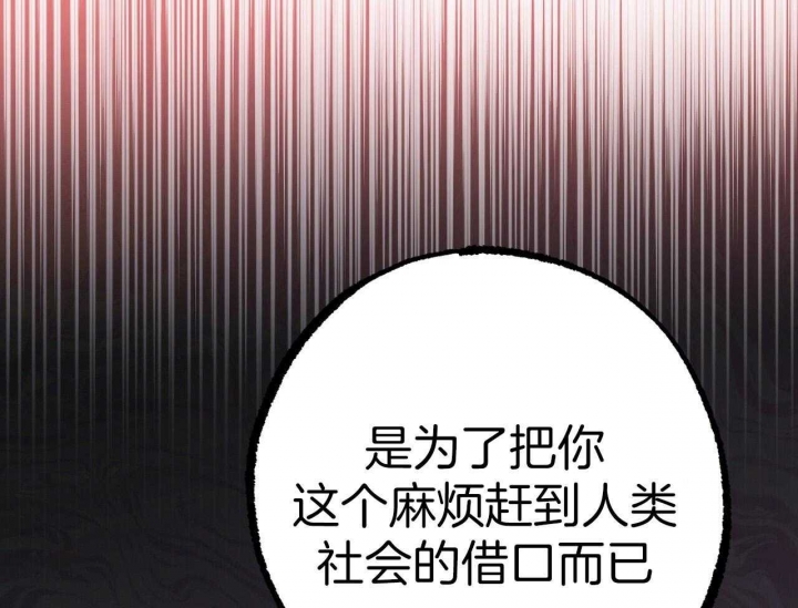 《 夏菲菲的兔子》漫画最新章节第61话免费下拉式在线观看章节第【62】张图片