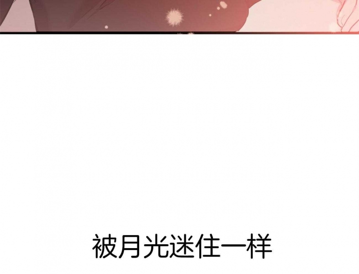 《 夏菲菲的兔子》漫画最新章节第21话免费下拉式在线观看章节第【41】张图片