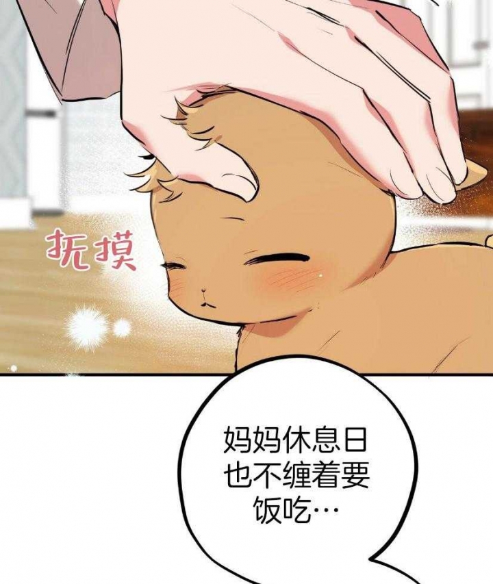 《 夏菲菲的兔子》漫画最新章节第58话免费下拉式在线观看章节第【22】张图片