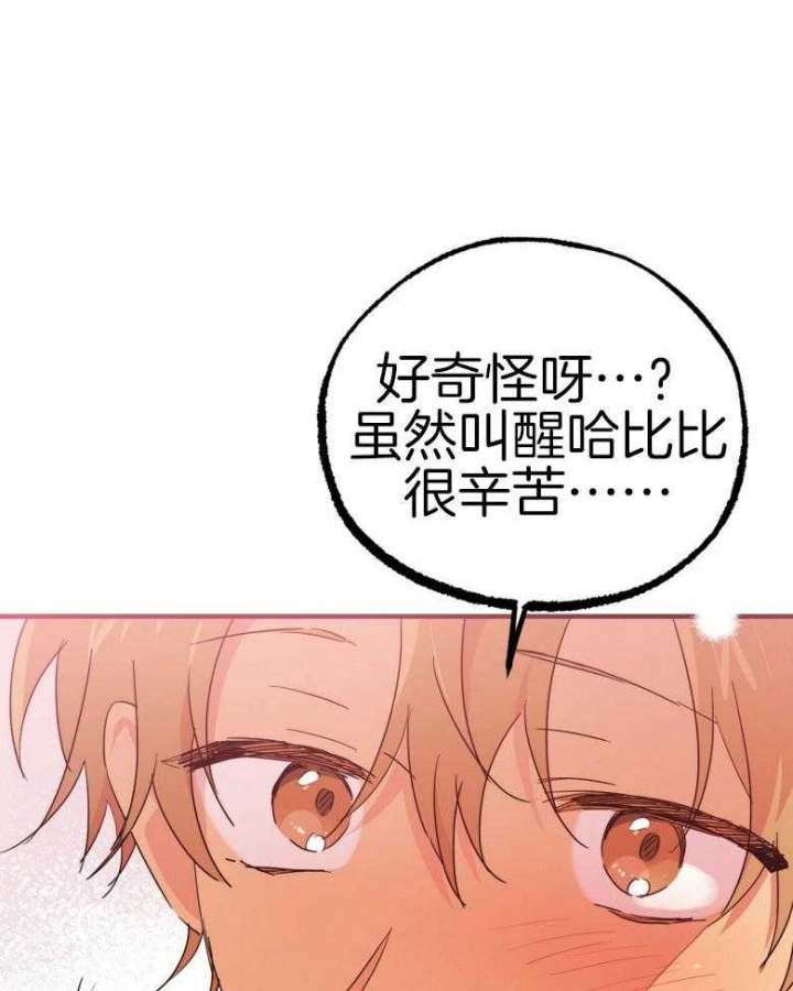 《 夏菲菲的兔子》漫画最新章节第43话免费下拉式在线观看章节第【3】张图片