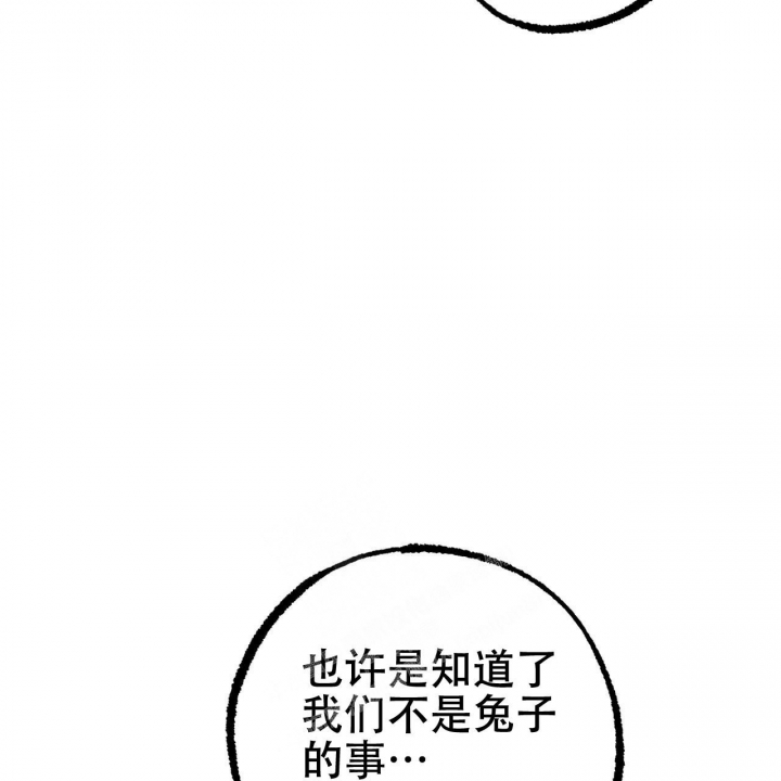 《 夏菲菲的兔子》漫画最新章节第88话免费下拉式在线观看章节第【66】张图片