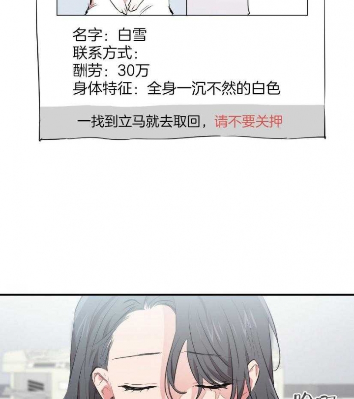 《 夏菲菲的兔子》漫画最新章节第57话免费下拉式在线观看章节第【2】张图片