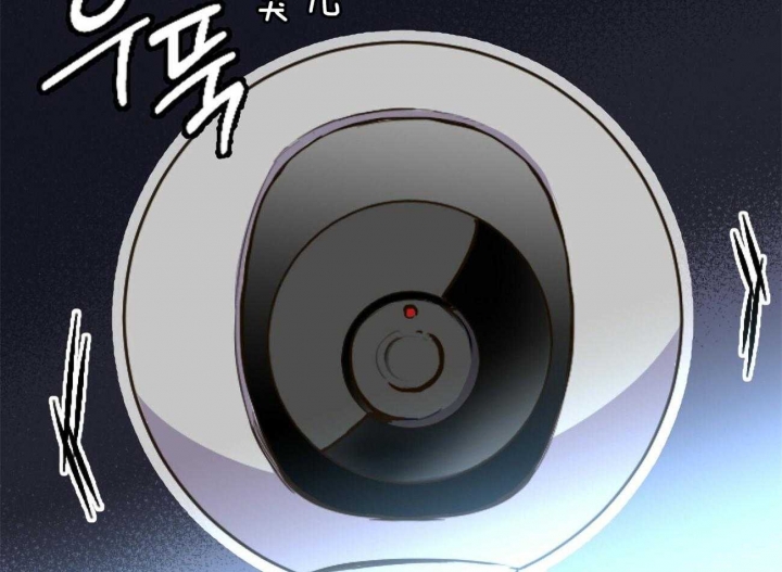 《 夏菲菲的兔子》漫画最新章节第1话免费下拉式在线观看章节第【26】张图片