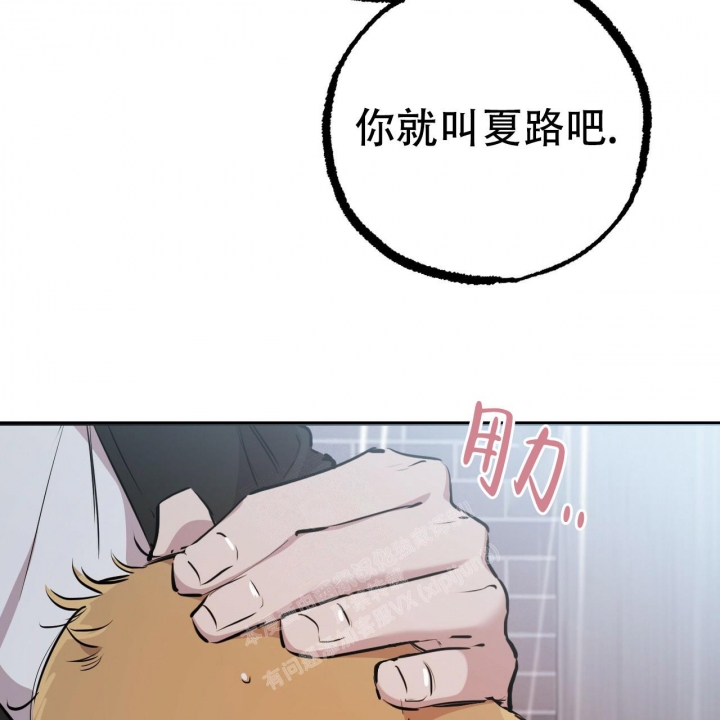 《 夏菲菲的兔子》漫画最新章节第88话免费下拉式在线观看章节第【29】张图片