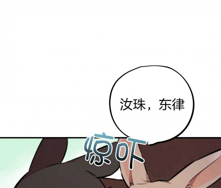 《 夏菲菲的兔子》漫画最新章节第54话免费下拉式在线观看章节第【1】张图片