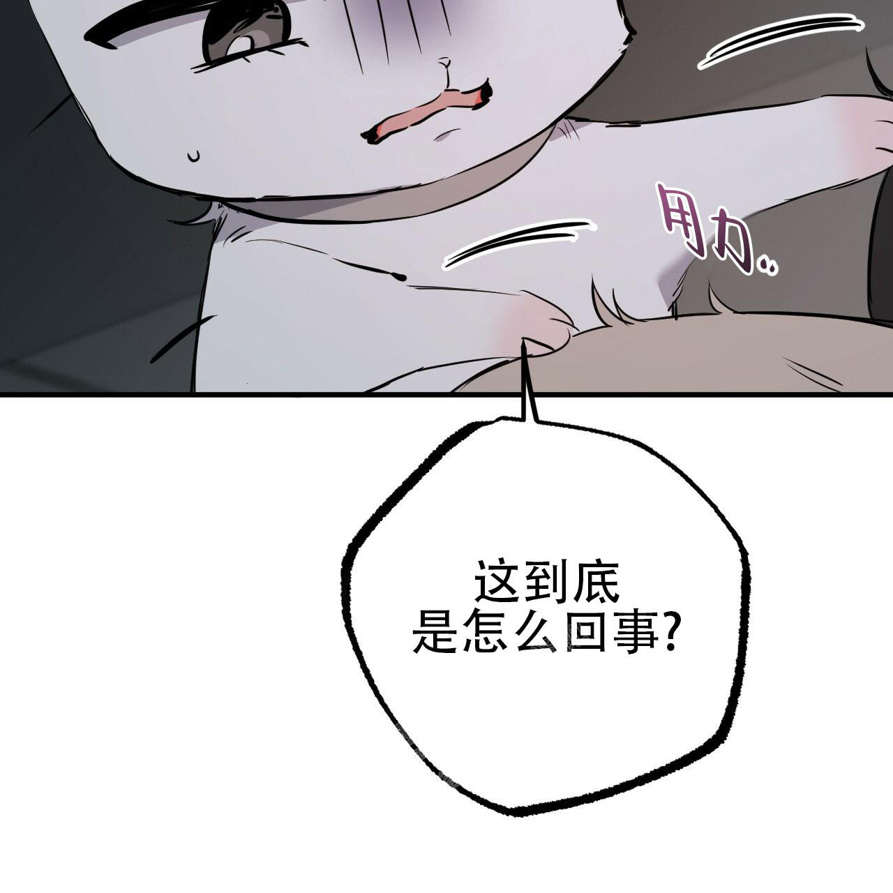 《 夏菲菲的兔子》漫画最新章节第110话免费下拉式在线观看章节第【22】张图片