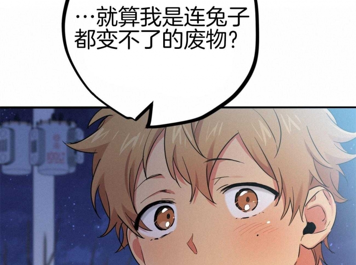 《 夏菲菲的兔子》漫画最新章节第20话免费下拉式在线观看章节第【52】张图片