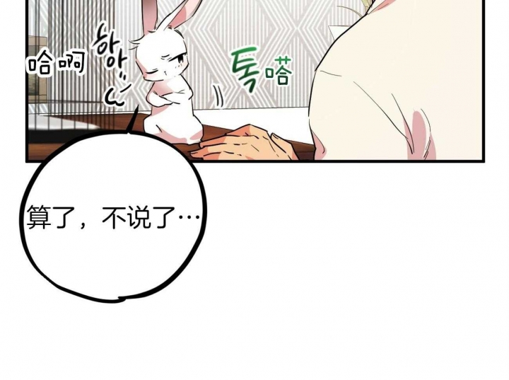 《 夏菲菲的兔子》漫画最新章节第7话免费下拉式在线观看章节第【56】张图片