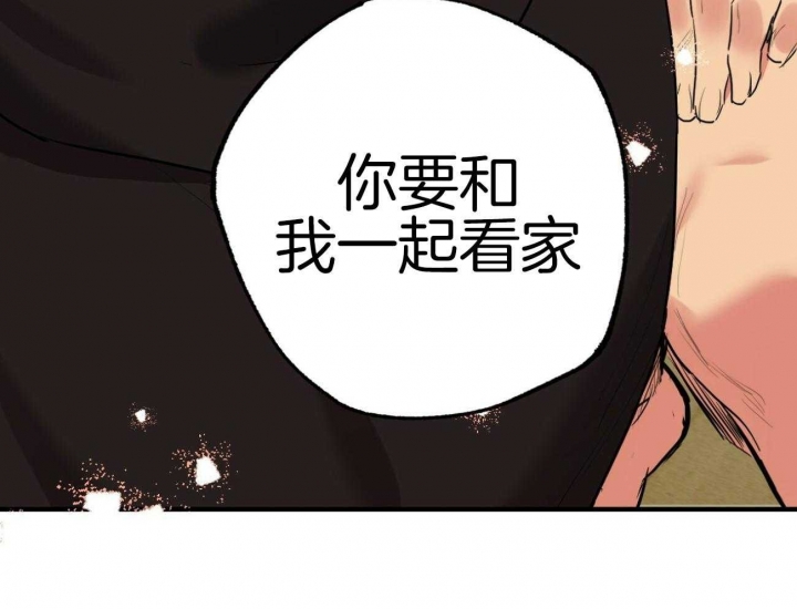 《 夏菲菲的兔子》漫画最新章节第27话免费下拉式在线观看章节第【61】张图片