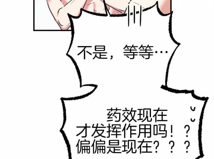 《 夏菲菲的兔子》漫画最新章节第10话免费下拉式在线观看章节第【12】张图片