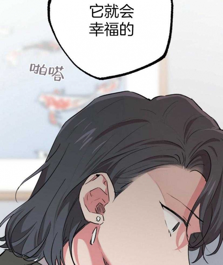 《 夏菲菲的兔子》漫画最新章节第57话免费下拉式在线观看章节第【47】张图片