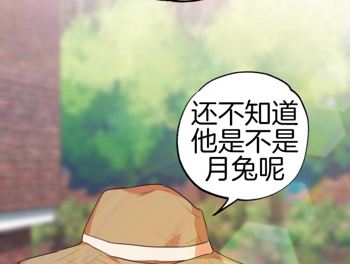 《 夏菲菲的兔子》漫画最新章节第28话免费下拉式在线观看章节第【46】张图片