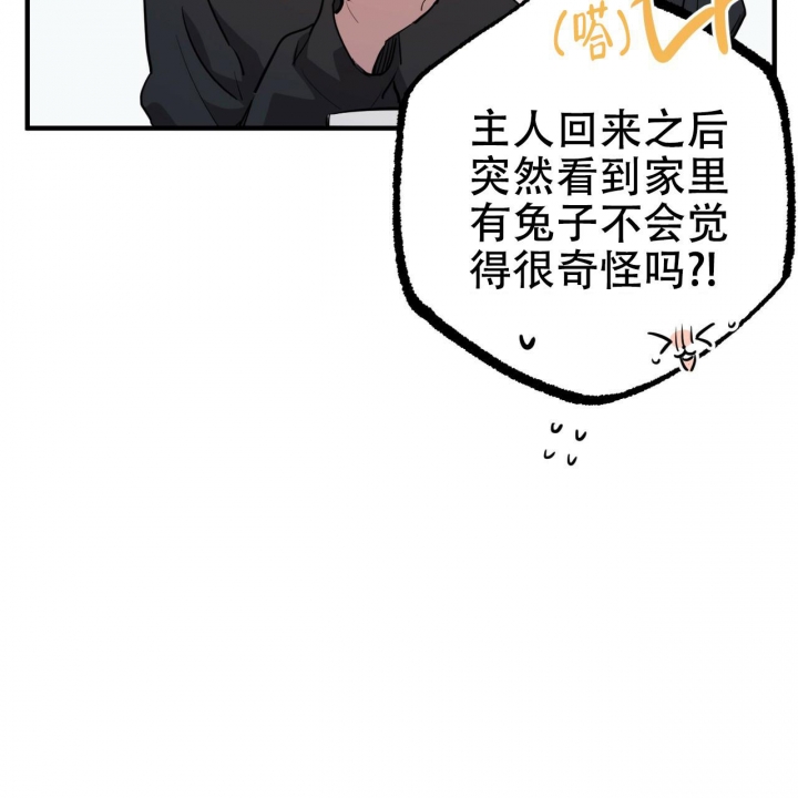 《 夏菲菲的兔子》漫画最新章节第93话免费下拉式在线观看章节第【20】张图片