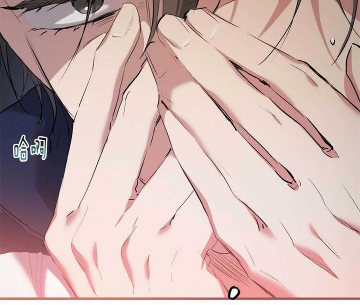 《 夏菲菲的兔子》漫画最新章节第65话免费下拉式在线观看章节第【62】张图片