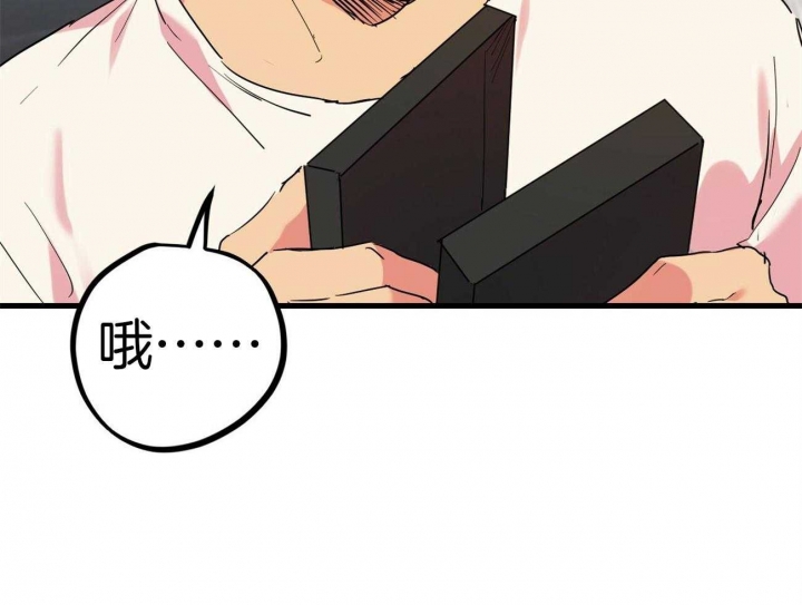 《 夏菲菲的兔子》漫画最新章节第32话免费下拉式在线观看章节第【35】张图片