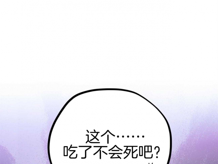 《 夏菲菲的兔子》漫画最新章节第34话免费下拉式在线观看章节第【13】张图片