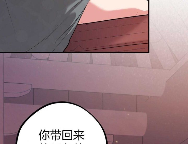 《 夏菲菲的兔子》漫画最新章节第61话免费下拉式在线观看章节第【25】张图片