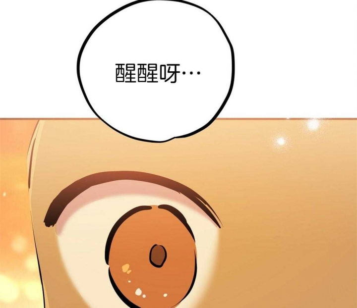 《 夏菲菲的兔子》漫画最新章节第66话免费下拉式在线观看章节第【10】张图片