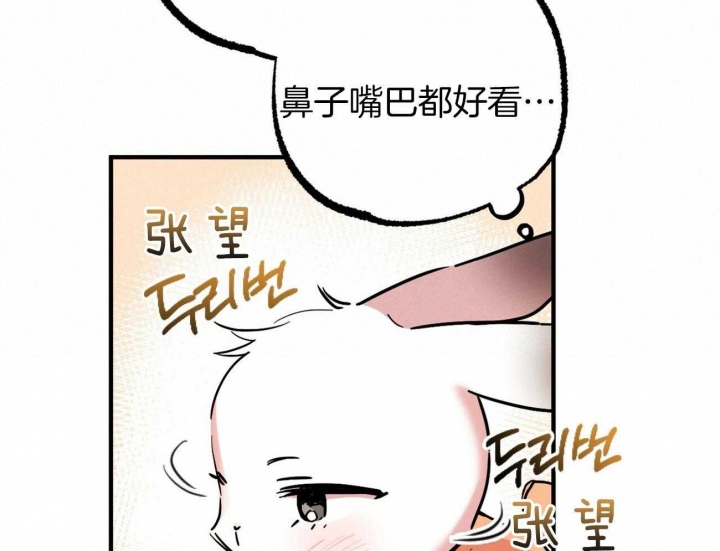 《 夏菲菲的兔子》漫画最新章节第7话免费下拉式在线观看章节第【25】张图片