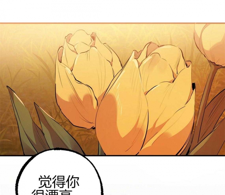 《 夏菲菲的兔子》漫画最新章节第68话免费下拉式在线观看章节第【50】张图片