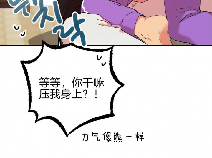 《 夏菲菲的兔子》漫画最新章节第17话免费下拉式在线观看章节第【63】张图片