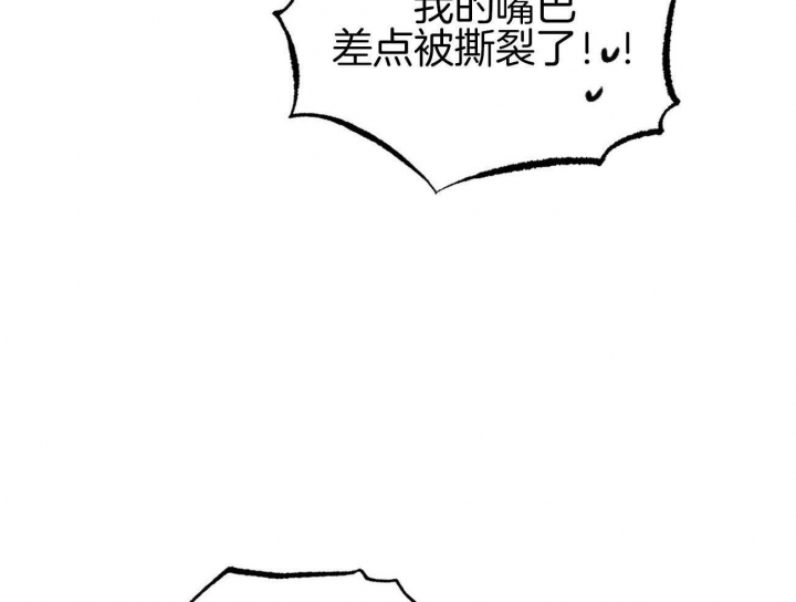 《 夏菲菲的兔子》漫画最新章节第13话免费下拉式在线观看章节第【16】张图片