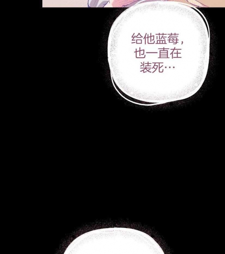 《 夏菲菲的兔子》漫画最新章节第57话免费下拉式在线观看章节第【6】张图片