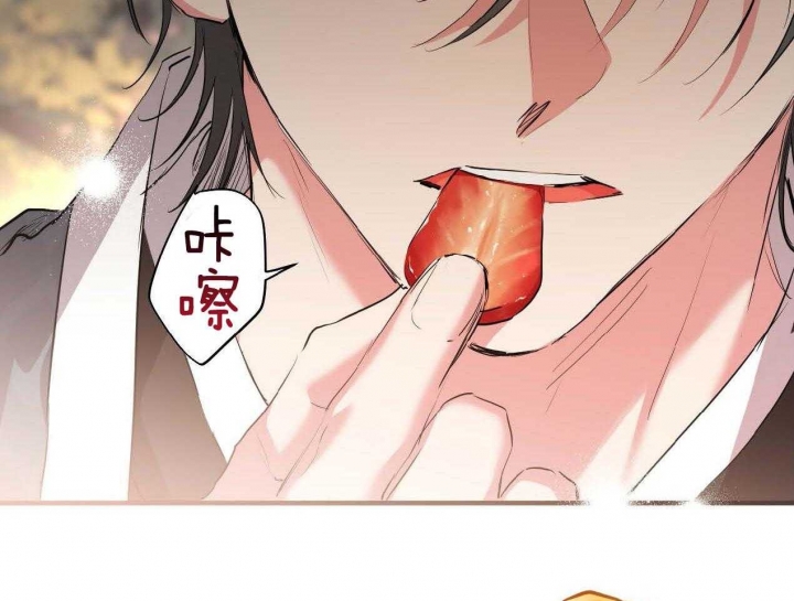 《 夏菲菲的兔子》漫画最新章节第62话免费下拉式在线观看章节第【63】张图片