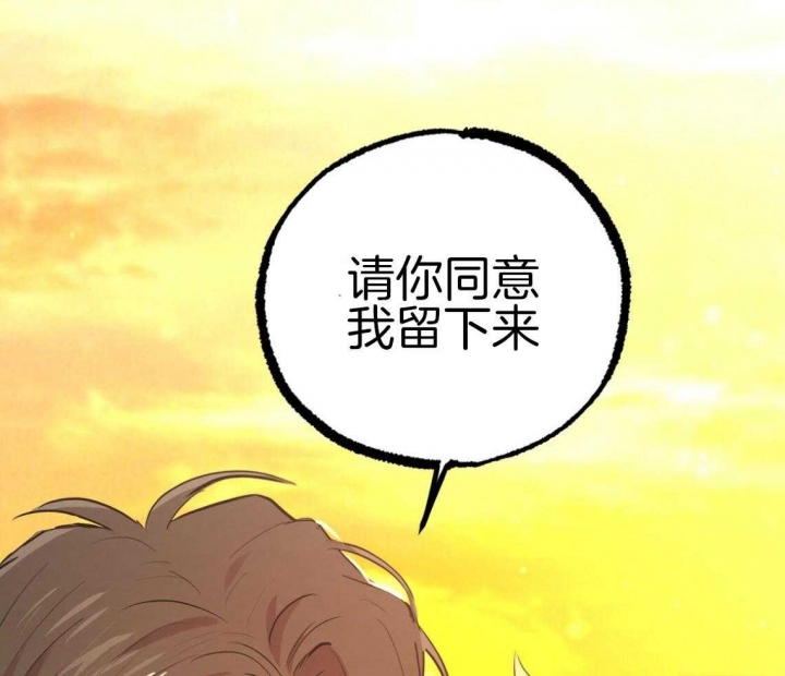 《 夏菲菲的兔子》漫画最新章节第66话免费下拉式在线观看章节第【66】张图片