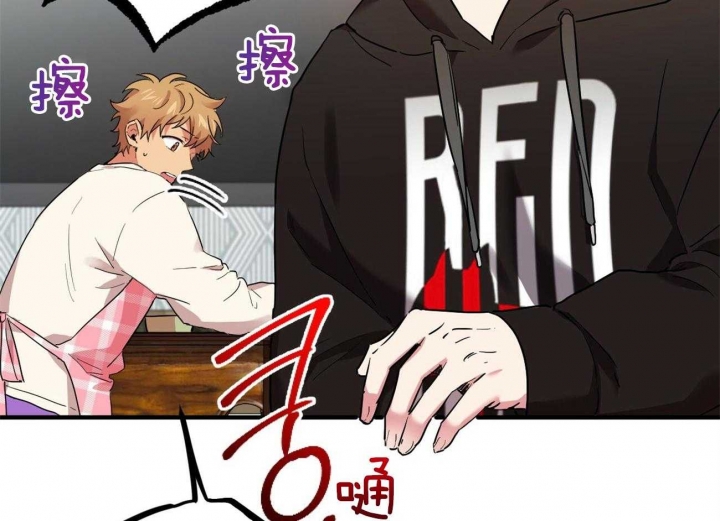 《 夏菲菲的兔子》漫画最新章节第18话免费下拉式在线观看章节第【5】张图片