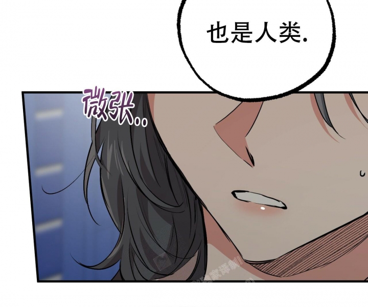 《 夏菲菲的兔子》漫画最新章节第86话免费下拉式在线观看章节第【21】张图片