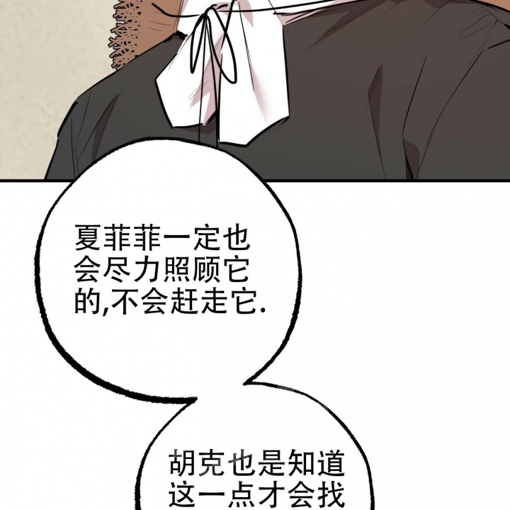 《 夏菲菲的兔子》漫画最新章节第80话免费下拉式在线观看章节第【16】张图片