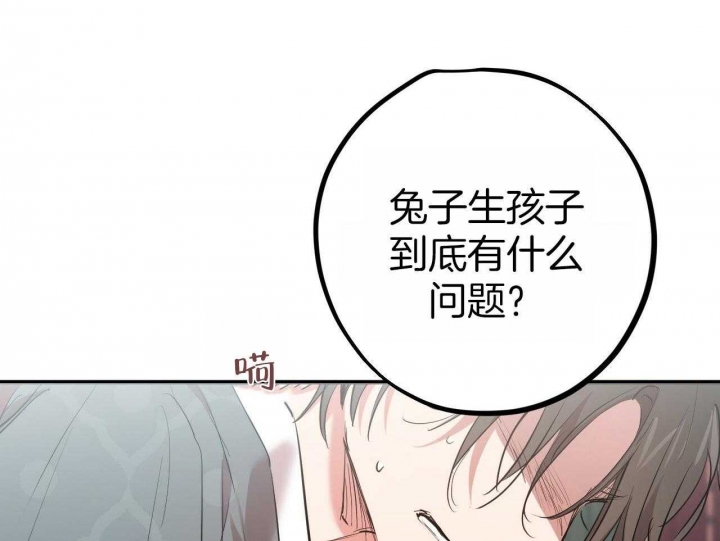 《 夏菲菲的兔子》漫画最新章节第60话免费下拉式在线观看章节第【41】张图片