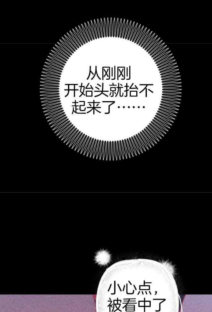 《 夏菲菲的兔子》漫画最新章节第46话免费下拉式在线观看章节第【13】张图片