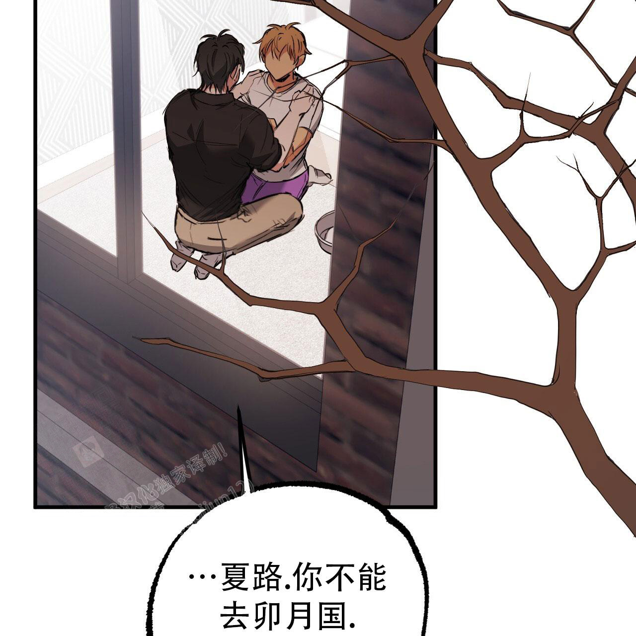 《 夏菲菲的兔子》漫画最新章节第140话免费下拉式在线观看章节第【32】张图片