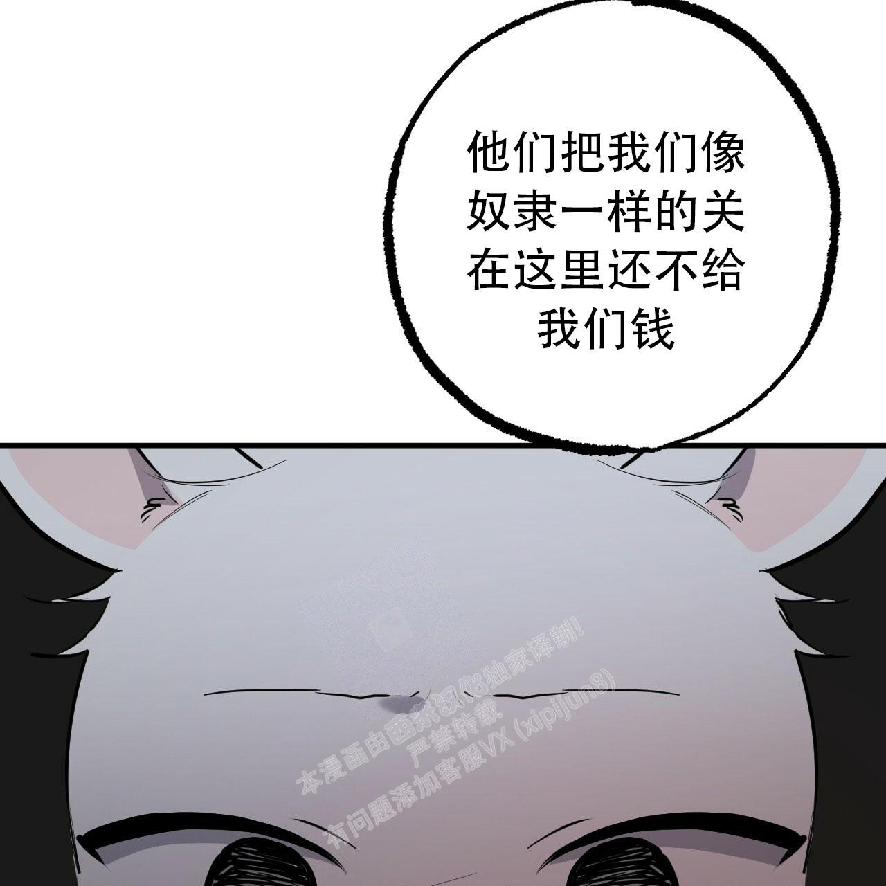 《 夏菲菲的兔子》漫画最新章节第110话免费下拉式在线观看章节第【41】张图片