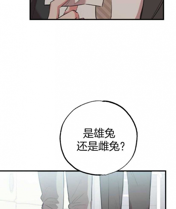 《 夏菲菲的兔子》漫画最新章节第57话免费下拉式在线观看章节第【22】张图片