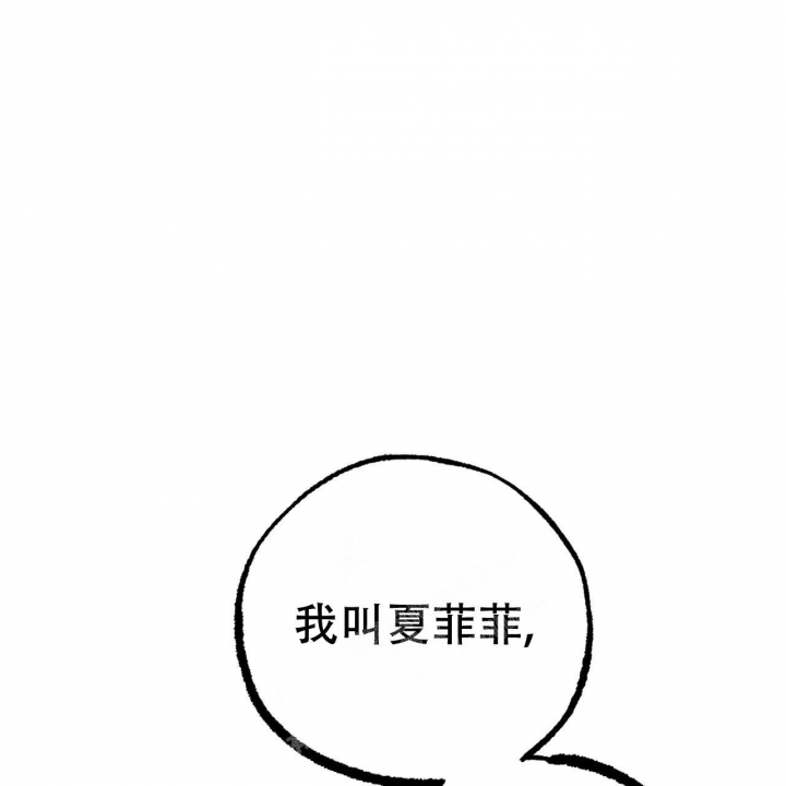 《 夏菲菲的兔子》漫画最新章节第88话免费下拉式在线观看章节第【28】张图片